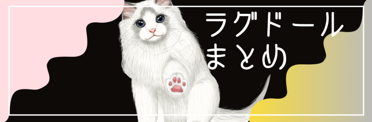 ぬいぐるみ人形ラグドール!